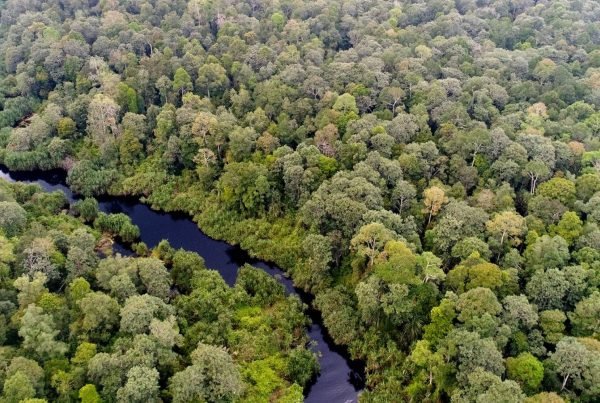 APRIL Sustainability Report 2017