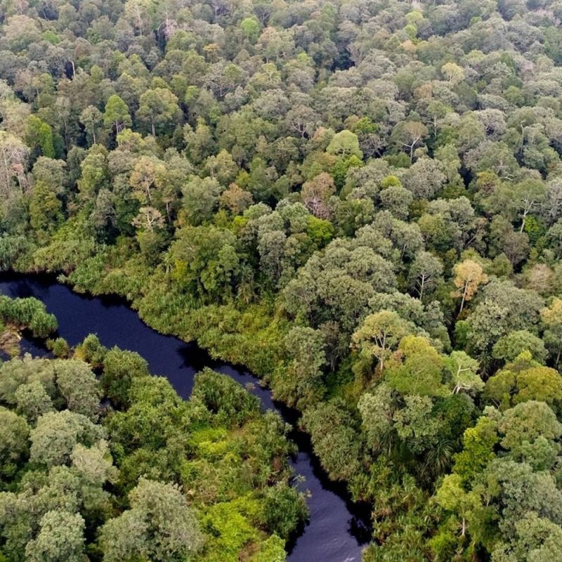 APRIL Sustainability Report 2017