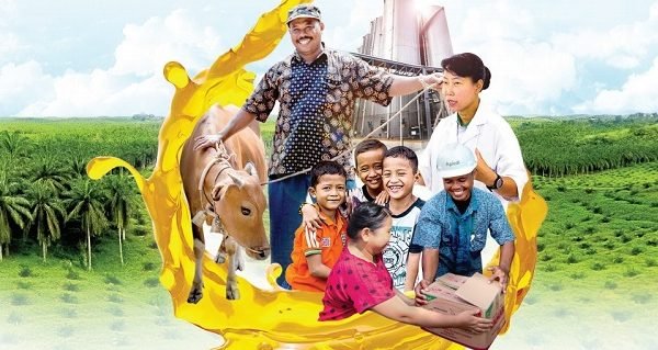 Apical Sustainability Policy 2016