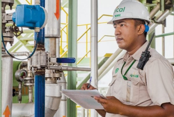 Apical Sustainability Report 2017