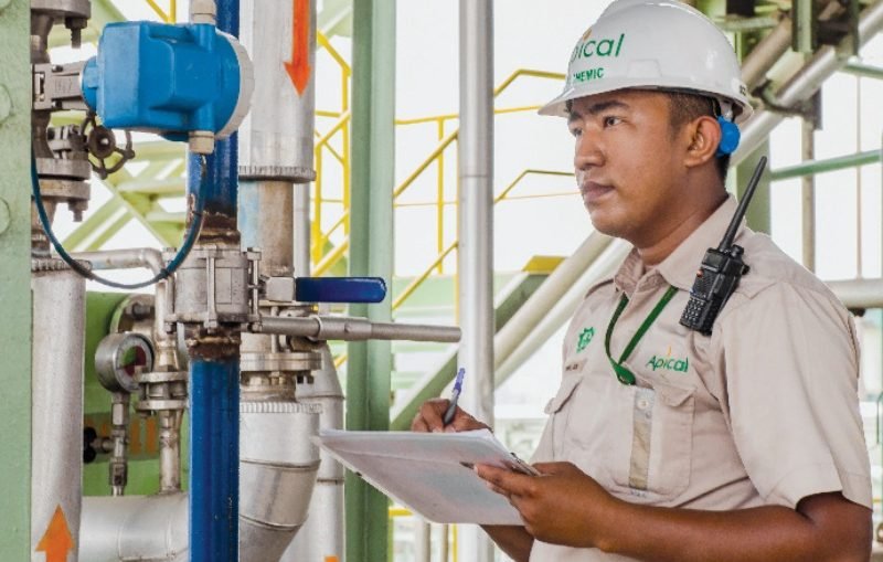 Apical Sustainability Report 2017