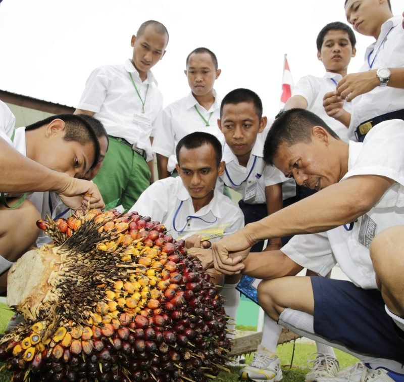 Asian-Agri-Learning-Institute Outdoor Training