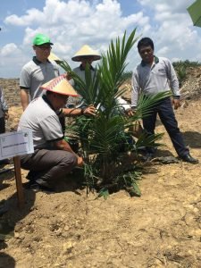 BPDPKS' Bayu Krisnamurthi, joined by Asian Agri Managing Director Kelvin Tio, inaugurates the replanting programme