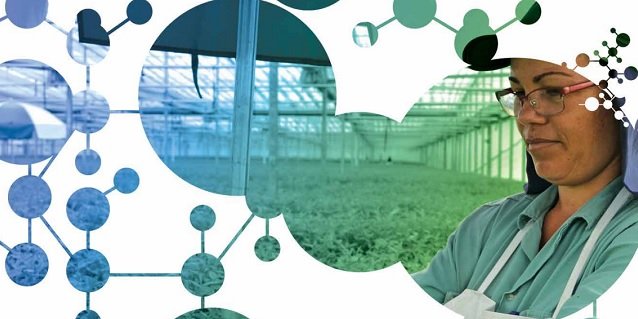 Bracell Sustainability Report 2016