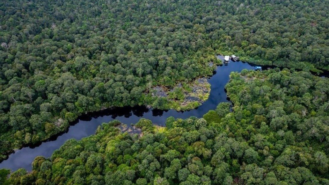 Charting Growth: RGE’s Sustainable Expansion Journey in 2023