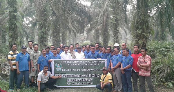 Asian Agri promotes and harmonises best oil palm plantation practices across its smallholder partners