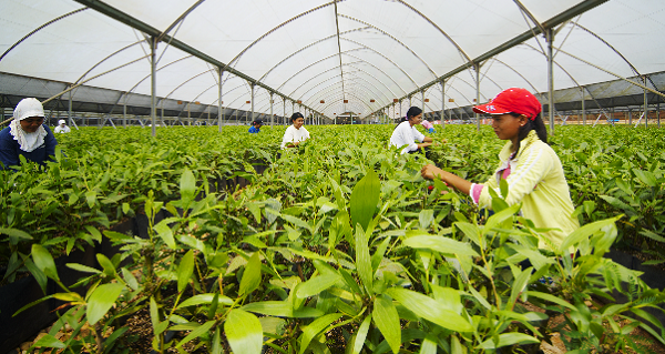 Inside RGE - Circular Economy thinking