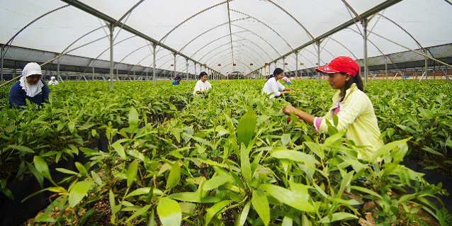 Inside RGE - Circular Economy thinking