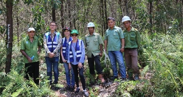 Inside RGE - On-the-ground Snapshots SIIA visits Pangkalan Kerinci
