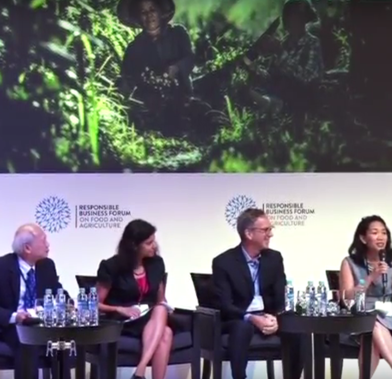 Inside RGE - Policy White Paper Lucita Jasmin APRIL Group