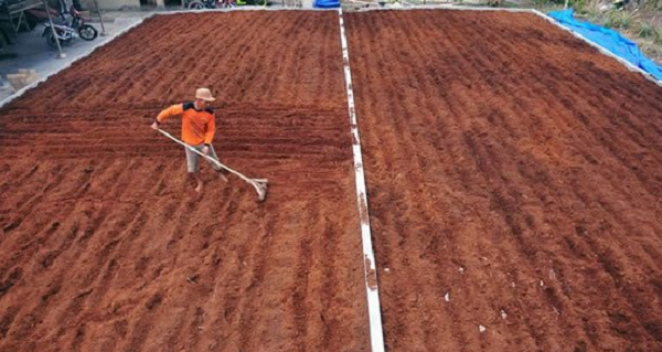 Inside RGE - RAPP Multiplier Effect Jobs Husk Planting Medium