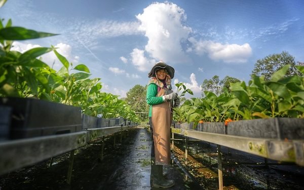 RGE 2020 Highlights APRIL Nursery