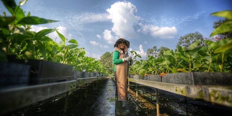 RGE 2020 Highlights APRIL Nursery