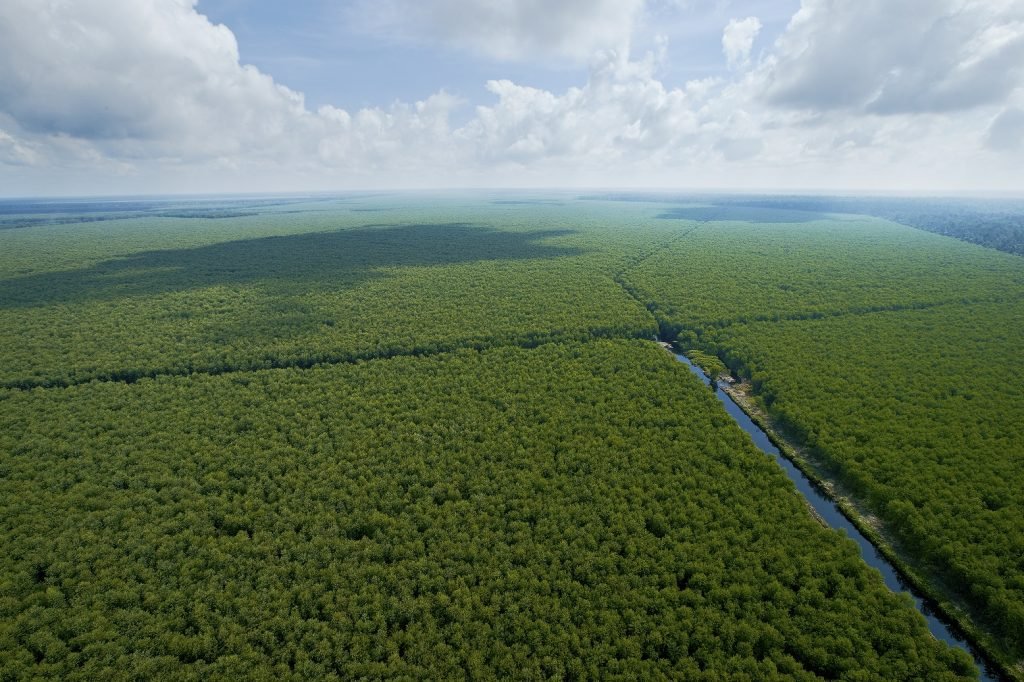 APRIL’s fibre supply comes from 100% renewable plantation sources