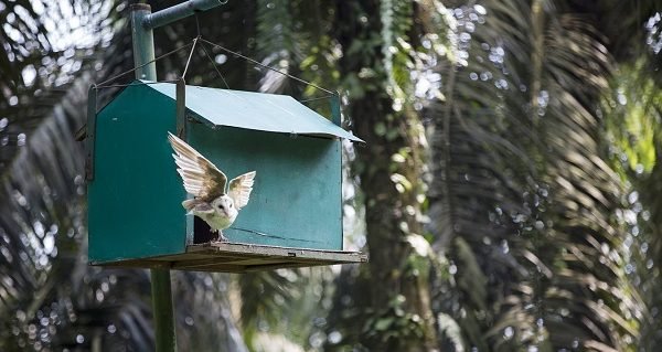 Integrated Pest Management