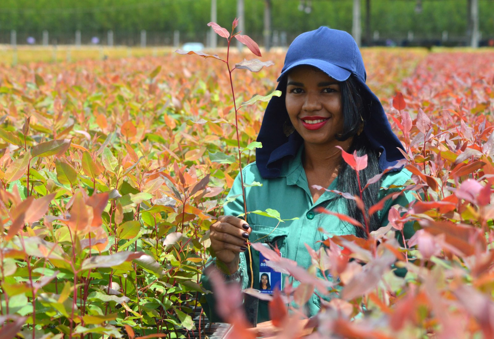 Bracell Releases 2017 Sustainability Report, Demonstrates Commitment to Sustainable Operations and Community Engagement