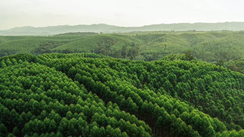 APRIL Invests in Nature-Based Solutions to Deliver Lasting Positive Impacts on Climate, Nature and People