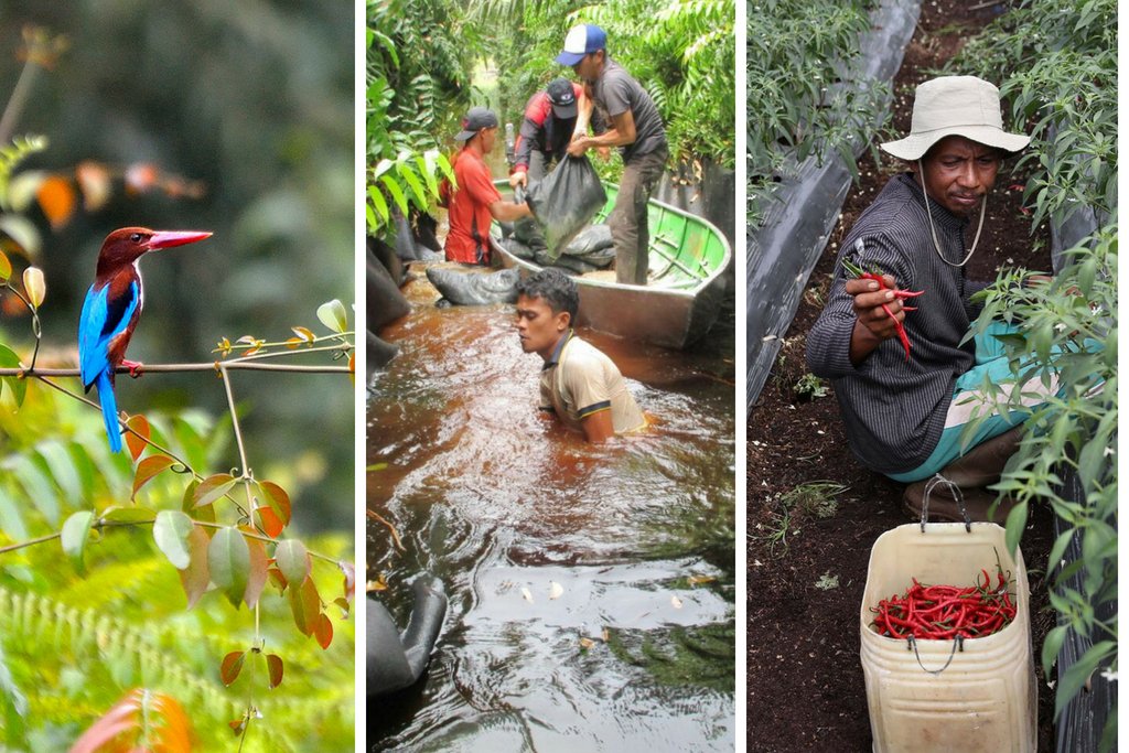 RER Inaugural Annual Report Highlights Increased Biodiversity, Absent Fires and Engaged Communities