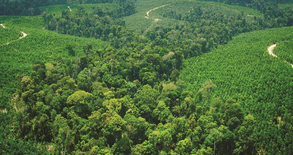 RGE APRIL Group Good Land Management