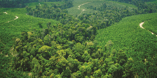 RGE APRIL Group Good Land Management