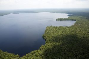 Restorasi Ekosistem Riau