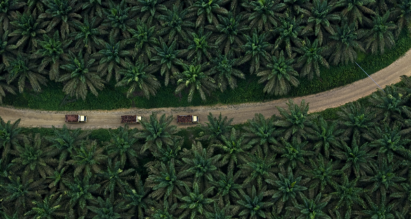 Unlocking Rural Potential