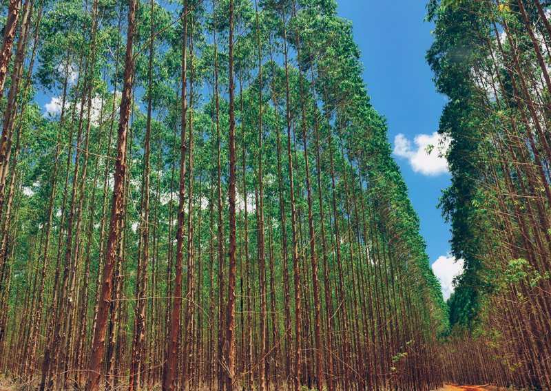 Sateri 2016 Sustainability Report