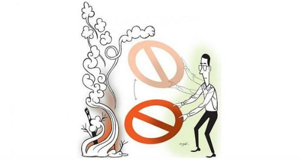 personal journey through haze