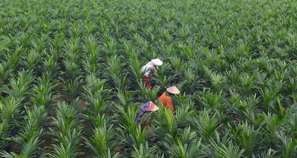 The Best Around: RGE Employees Capture the 5Cs in Their Winning Photos