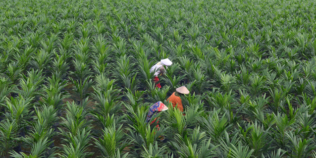 The Best Around: RGE Employees Capture the 5Cs in Their Winning Photos