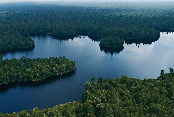 Sustainable Progress, Progress for Sustainability: Marking the Second Anniversary of the RGE Sustainability Framework